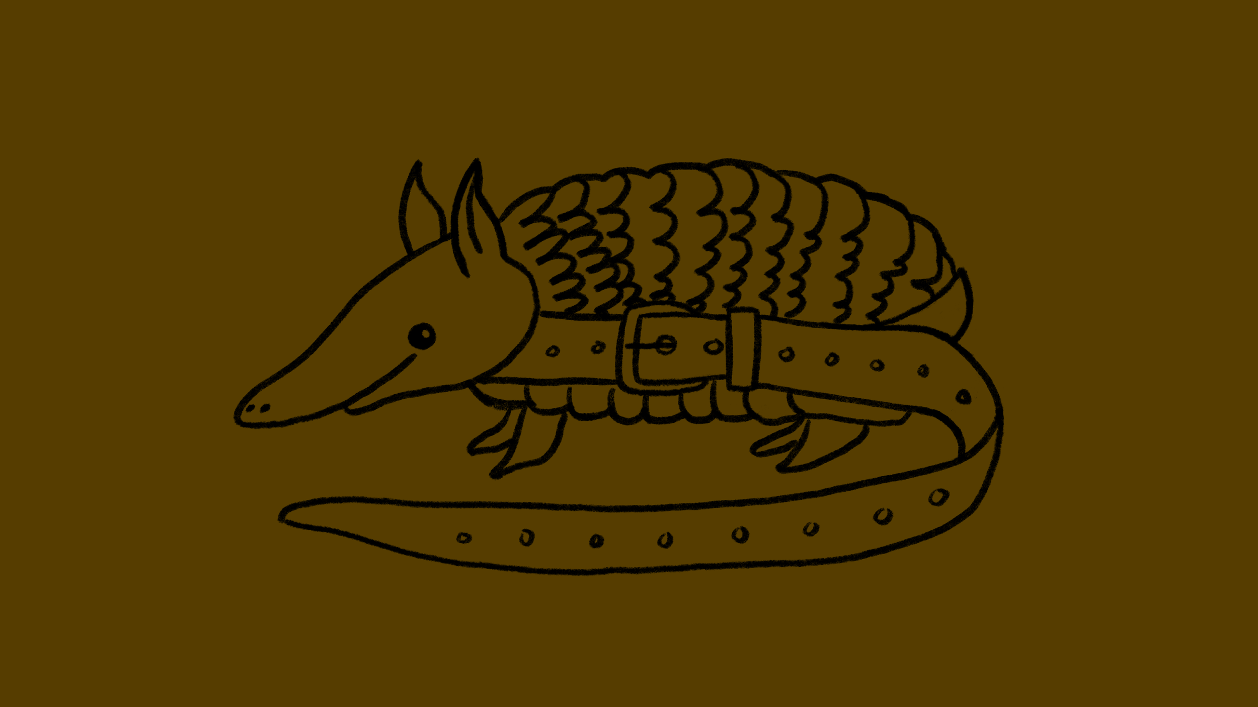 An armadillo is called a “belt animal.”