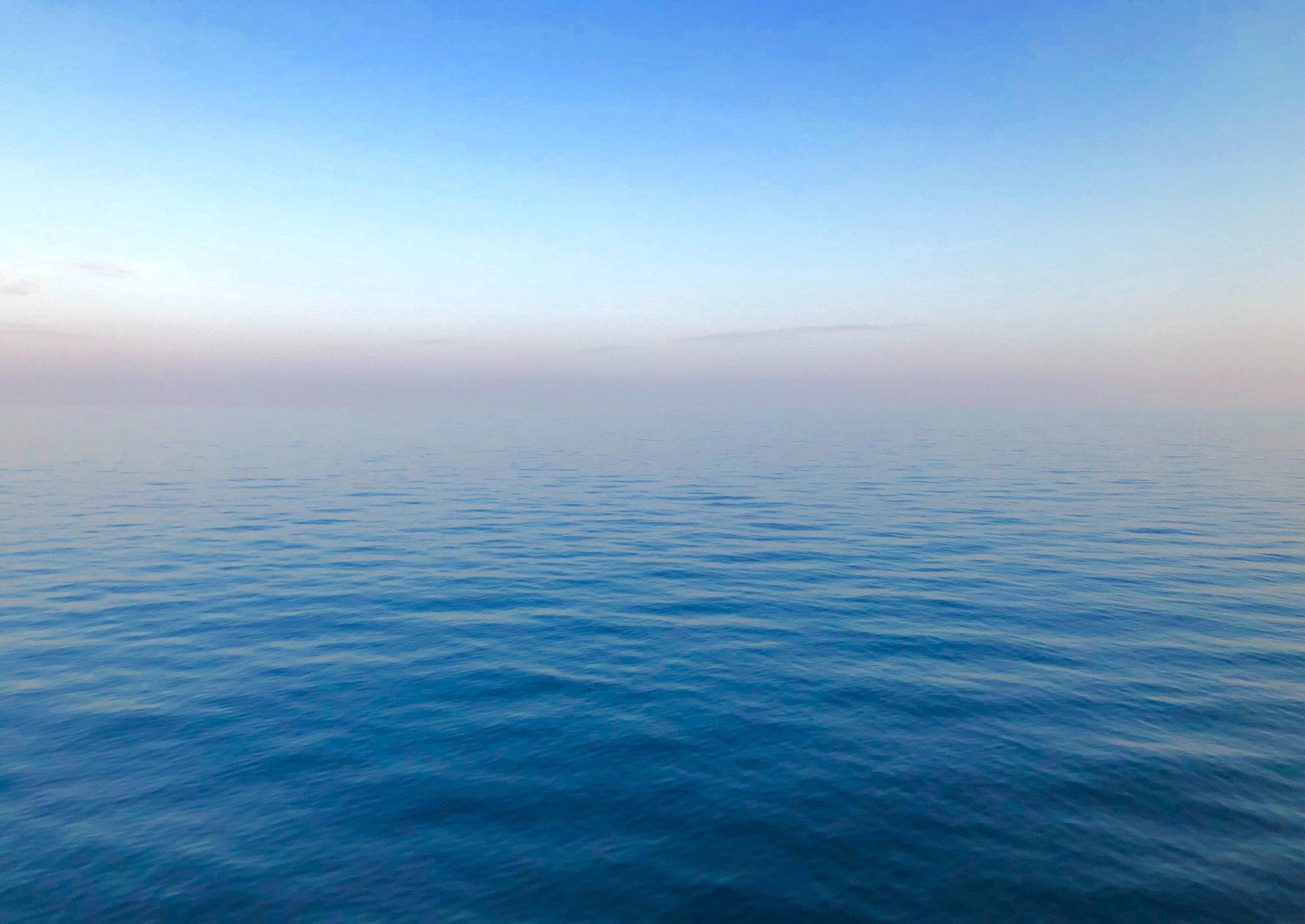 Photo by Fernando Jorge